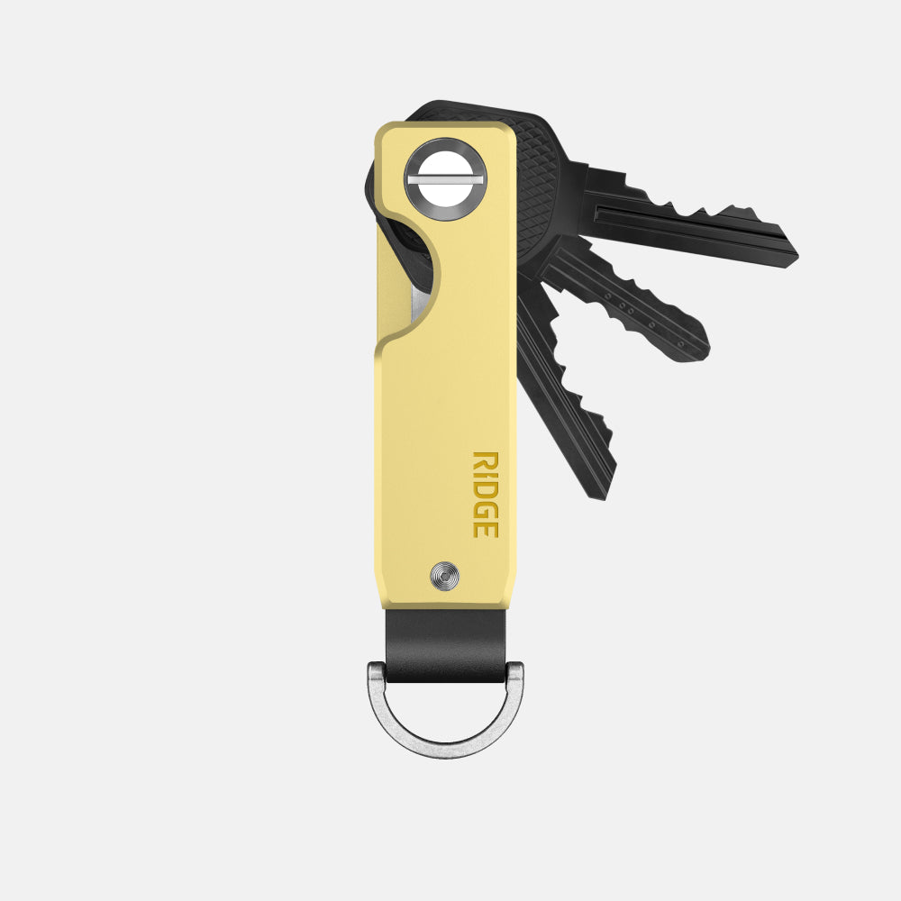 PDP SWATCH // LEMONADE COLLECTION KEYCASE [HIDE]